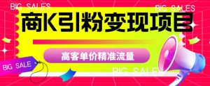 商K引粉变现项目,高客单价精准流量【揭秘】-52资源库