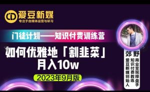 爱豆新媒:如何优雅地「割韭菜」月入10w的秘诀(2023年9月版)-52资源库