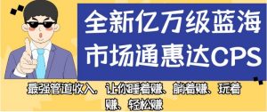 全新亿万级蓝海市场通惠达cps,最强管道收入,让你睡着赚、躺着赚、玩着赚、轻松赚【揭秘】-52资源库
