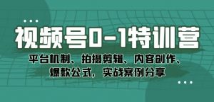 视频号0-1特训营:平台机制、拍摄剪辑、内容创作、爆款公式,实战案例分享-52资源库