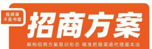 王昕招商方案,解构招商方案意识形态,精准把握渠道代理基本法-52资源库