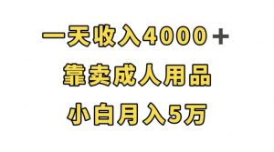 一天收入4000+,靠卖成人用品,小白轻松月入5万【揭秘】-52资源库