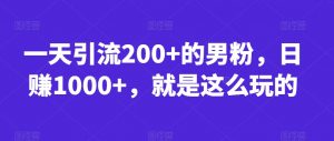 一天引流200+的男粉,日赚1000+,就是这么玩的【揭秘】-52资源库