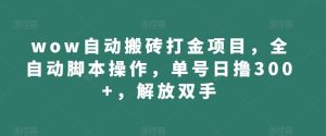 wow自动搬砖打金项目,全自动脚本操作,单号日撸300+,解放双手【揭秘】-52资源库