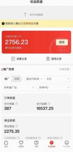 拼多多无人直播不封号玩法,0投入,3天必起,日入1000+-52资源库