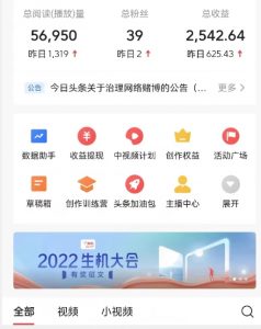全新蓝海,西瓜视频流量掘金项目,简单上手适合0基础小白,暴力玩法日入500+【揭秘】-52资源库
