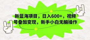 新蓝海项目,日入600+,视频号叠加变现,新手小白无脑操作【揭秘】-52资源库