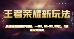 王者荣耀新玩法,卖虚拟国服操作教程,一单6.88-99.99元,0成本无限贩卖【揭秘】-52资源库