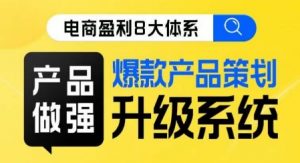 电商盈利8大体系 ·产品做强爆款产品策划系统升级线上课,全盘布局更能实现利润突破-52资源库