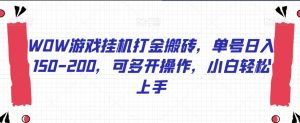 WOW游戏挂机打金搬砖,单号日入150-200,可多开操作,小白轻松上手【揭秘】-52资源库