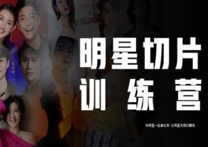 王子·明星切片线上训练营(2023),和明星一起拿红利,让明星为我们赚钱-52资源库