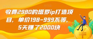 收费2980的塔罗ip打造项目,单价198-999不等,5天赚了2000块【揭秘】-52资源库