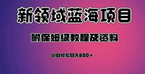 虚拟资源蓝海领域新项目,轻松日入800+,附保姆级教程及资料-52资源库