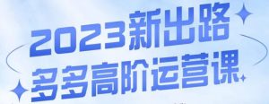 大炮·多多高阶运营课,3大玩法助力打造爆款,实操玩法直接亮出干货-52资源库
