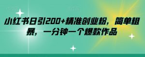小红书日引200+精准创业粉,简单粗暴,一分钟一个爆款作品【揭秘】-52资源库