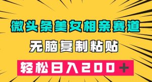 微头条冷门美女相亲赛道,无脑复制粘贴,轻松日入200+【揭秘】-52资源库