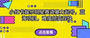 外面收费2980的视频号流量主项目,作品制作简单无脑,单账号日入过千-52资源库