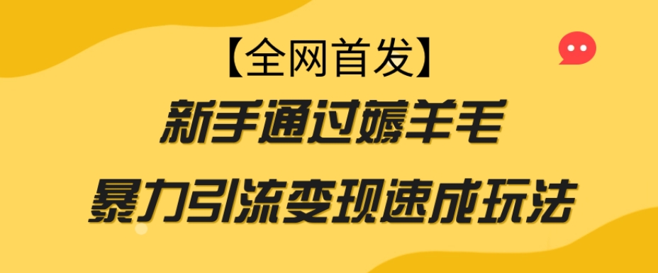 【全网首发】新手通过薅羊毛暴力引流变现速成玩法-52资源库