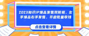 2023知识IP爆品发售双阶班,左手爆品右手发售,开启批量收钱-52资源库