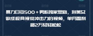 暴力日引500+男粉独家思路,将美女做成极具视觉冲击力的视频,单月盈利超2万轻轻松松-52资源库