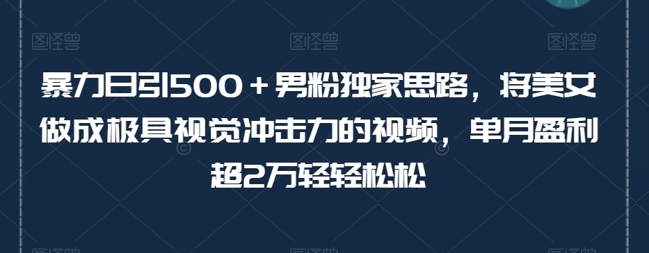 暴力日引500＋男粉独家思路，将美女做成极具视觉冲击力的视频，单月盈利超2万轻轻松松-52资源库
