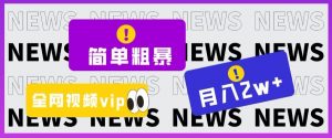 简单粗暴零成本,高回报,全网视频VIP掘金项目,月入2万+【揭秘】-52资源库