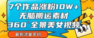 7个作品涨粉10W+,无脑搬运素材,全景美女视频爆款玩法分享【揭秘】-52资源库