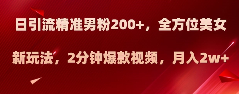 日引流精准男粉200+，全方位美女新玩法，2分钟爆款视频，月入2w+【揭秘】-52资源库