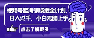 视频号蓝海领域掘金计划,日入过千,小白无脑上手【揭秘】-52资源库