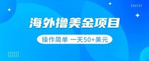 撸美金项目无门槛操作简单小白一天50+美刀-52资源库