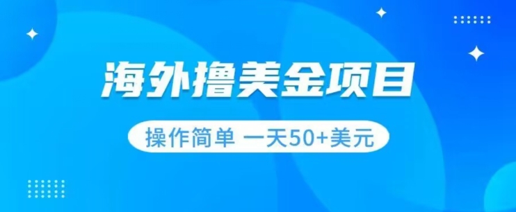 撸美金项目无门槛操作简单小白一天50+美刀-52资源库