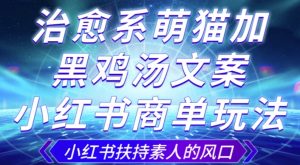治愈系萌猫加+黑鸡汤文案,小红书商单玩法,3~10天涨到1000粉,一单200左右-52资源库