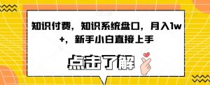 知识付费,知识系统盘口,月入1w+,新手小白直接上手-52资源库