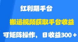搬运视频获取平台收益,平台红利期,附保姆级教程【揭秘】-52资源库