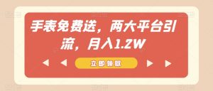 手表免费送,两大平台引流,月入1.2W【揭秘】-52资源库