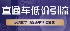 直通车低价引流课,系统化学习直通车精准投放-52资源库