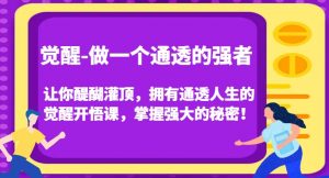 觉醒-做一个通透的强者,让你醍醐灌顶,拥有通透人生的觉醒开悟课,掌握强大的秘密!-52资源库
