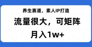 养生赛道,素人IP打造,流量很大,可矩阵,月入1w+【揭秘】-52资源库