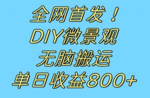 全网首发冷门赛道!DIY微景观,无脑搬运视频,日收益800+【揭秘】-52资源库
