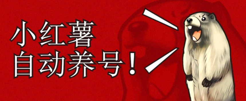 小红书养号秘籍，如何自动涨粉清晰系统标签打造高权重账号【揭秘】-52资源库