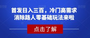 首发日入三百,冷门高需求消除路人零基础玩法来啦【揭秘】-52资源库