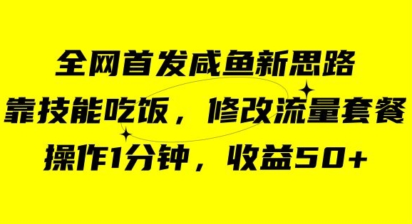 咸鱼冷门新玩法，靠“技能吃饭”，修改流量套餐，操作1分钟，收益50【揭秘】-52资源库