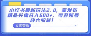 小红书最新玩法2.0,靠发布精品头像日入500+,可多账号放大收益!【揭秘】-52资源库