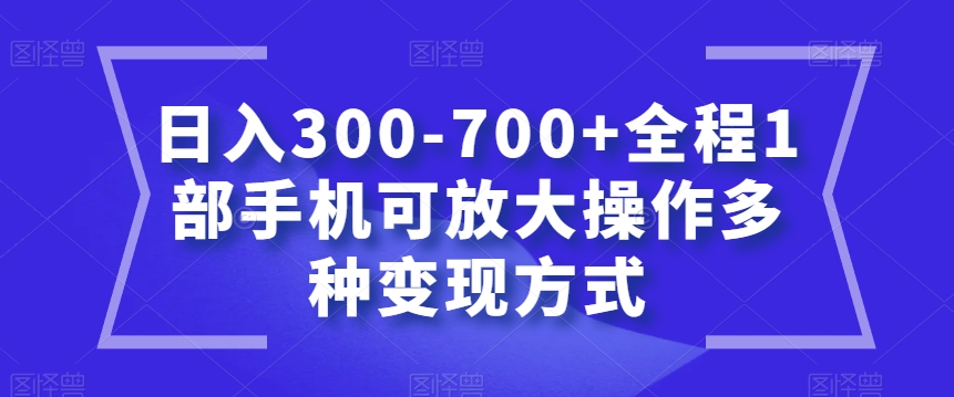 日入300-700+全程1部手机可放大操作多种变现方式【揭秘】-52资源库