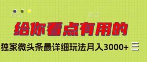 独家微头条最详细玩法,月入3000+【揭秘】-52资源库