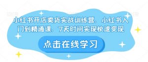 小红书开店卖货实战训练营,小红书入门到精通课,7天时间实现快速变现-52资源库