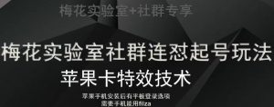 梅花实验室社群视频号连怼起号玩法,最新苹果卡特效技术-52资源库