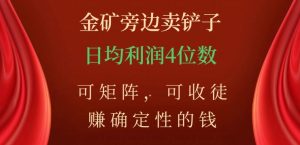 金矿旁边卖铲子,赚确定性的钱,可矩阵,可收徒,日均利润4位数【揭秘】-52资源库