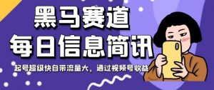 黑马赛道每日信息简讯,起号超级快自带流量大,通过视频号收益【揭秘】-52资源库