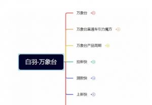 白羽·直引万搜索全篇,从0-1,多个类目实操经验总结付费-52资源库